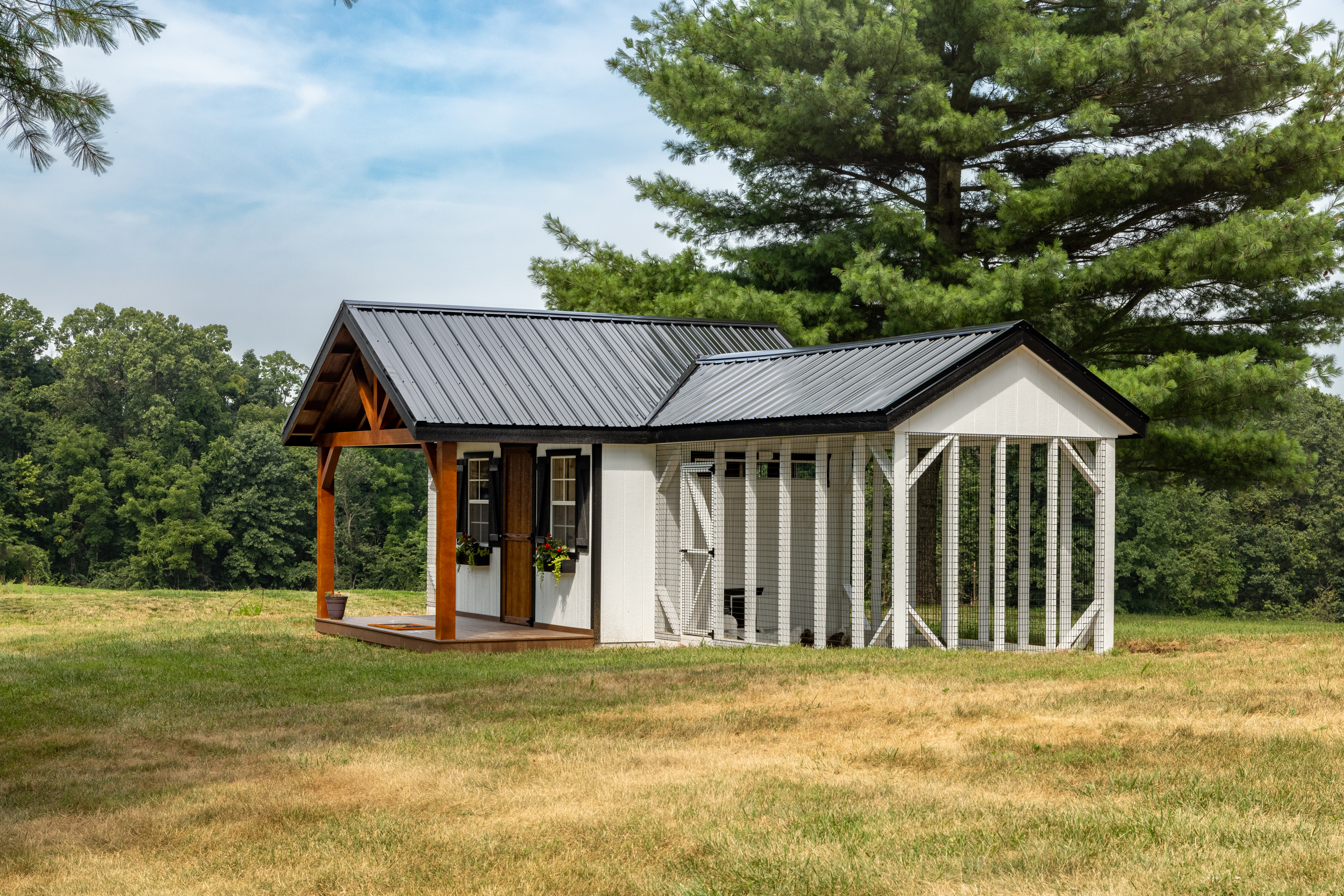 Custom Build chicken coop